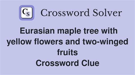 Maple Tree With Two Winged Seeds Crossword Clue