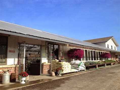 Maple ave greenhouse kalona ia. 1069 Maple Ave Kalona, IA 52247. 2,007 people like this. 2,006 people follow this. 226 people checked in here (319) 679-9883. Price range · $$ Closing Soon. ... Posts about Maple Avenue Greenhouse. Lu Stewart is feeling happy with Mary Wieland at Maple Avenue Greenhouse. · May 18, 2022 · Kalona, IA · 