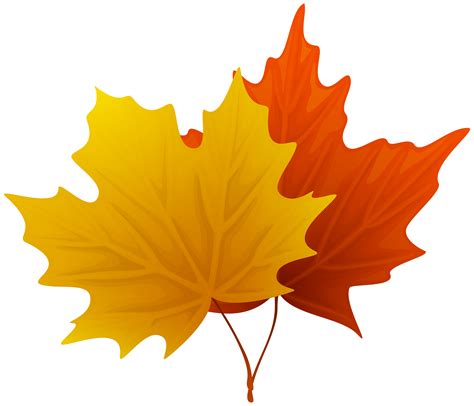 Maple leaf clip art. Things To Know About Maple leaf clip art. 