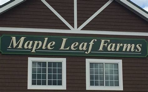 Maple leaf farms. Things To Know About Maple leaf farms. 