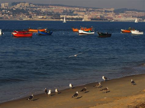 Mar Tago Onlyfans Leak +18 💦