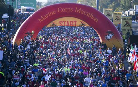Marathon marine forecast. Things To Know About Marathon marine forecast. 