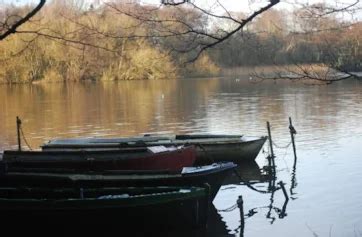 Marbury CP Birdwatching Site - BirdGuides