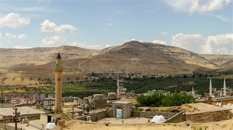 Mardin Derik terapi halı yıkama
