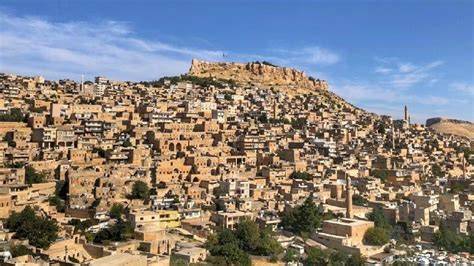 Mardin Derik Meseli Mahallesi terapi halı yıkama