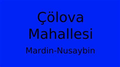 Mardin Nusaybin Colova Mahallesi terapi halı yıkama