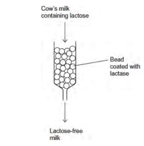 Mare Milk an overview ScienceDirect Topics.