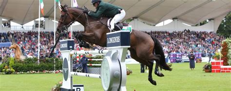 Mares and Foals Dublin Horse Show - 09 - 13 August, 2024