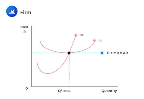 Marginal Cost and Revenue, Economic Profit CFA Level 1