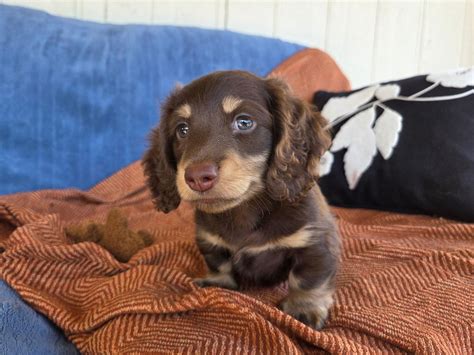 🔥 Mariahelly Leaks [HD]