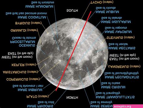 Mariasmoon - Viewing Guide. The Moon is Earth’s constant companion, the first skywatching target pointed out to us as children. We watch its face change as the month progresses, and see patterns and pictures in its geological features. It’s the object in the night sky that humanity knows best ― and the one that’s easiest to study.