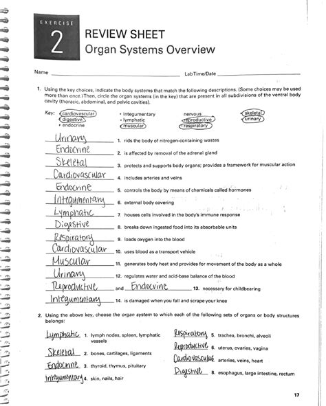 Marieb lab manual review sheet 29. - Guided reading activity 12 1 answers.