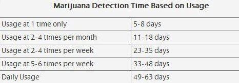 Marijuana Detection Time Testing Marijuana in the Body