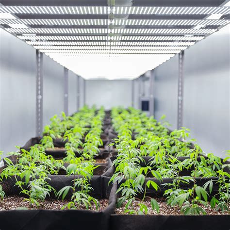 Marijuana Grow Labs - Marijuana Container Farming