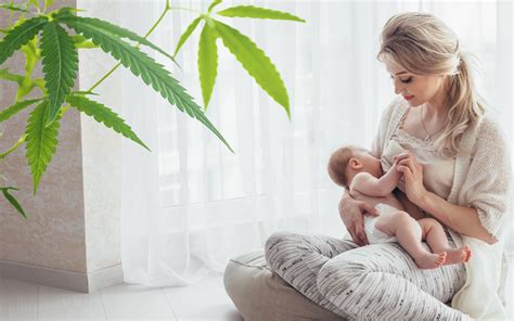 Marijuana and Breastfeeding: Applicability of the Current