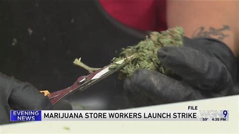 Marijuana employees go on strike at Chicagoland dispensaries