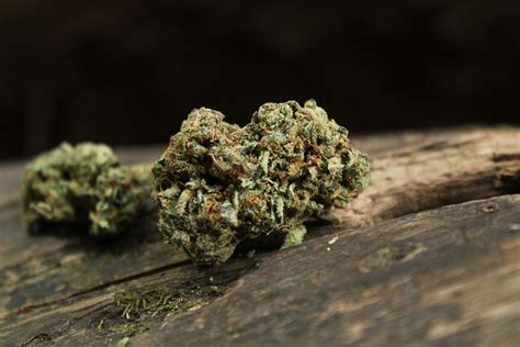 Marijuana for sale near me. Dosidos strain info Dosidos, also known as "Dosi Doe," "Do-Si-Dos," and "Dosi" is an indica-dominant hybrid marijuana strain with qualities similar to its parent, OGKB, a GSC-phenotype. With ... 