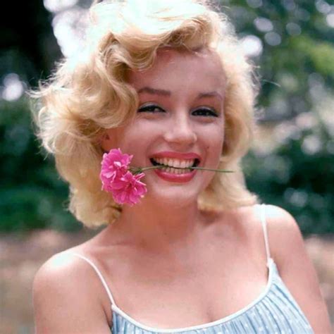 Marilyn monroe pfp. Things To Know About Marilyn monroe pfp. 