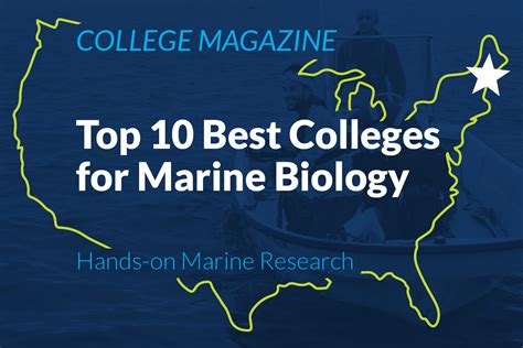 Marine Biology Colleges [2024 Guide] See The 10 …