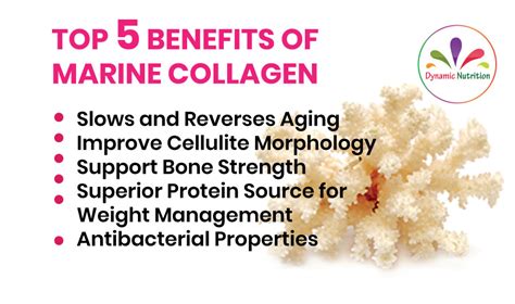 Marine Collagen Benefits For Your Health and Beauty - Further …