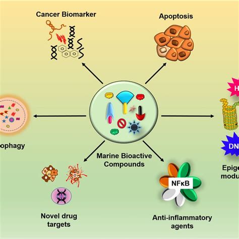Marine Compounds And Cancer