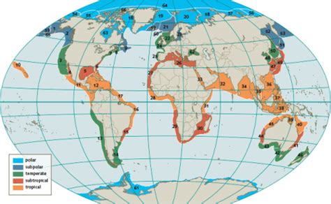 Marine Regions · North Brazil Shelf (Large Marine Ecosystem)