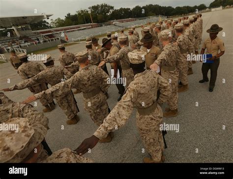 Marine corps drill manual open ranks. - Instructors manual south western federal taxation.