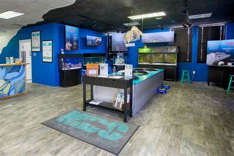 Marine discovery center. The Marine Discovery Center has been educating citizens and guests about the amazing biodiversity of the Indian River Lagoon for 20 years. The most biologically diverse … 
