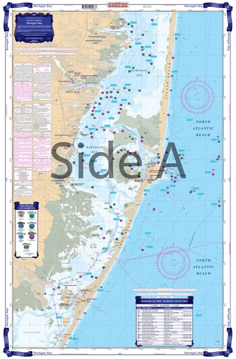  Tides for Mantoloking, Barnegat Bay, NJ. Date Time Feet Tide; Wed Mar 6: 2:17am: 0.04 ft: Low Tide: Wed Mar 6: 8:12am: 0.34 ft: High Tide . 