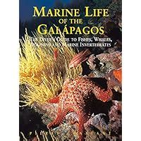 Marine life of the galapagos divers guide to the fish whales dolphins and marine invertebrates second edition. - Study guide for iaai cfi test.