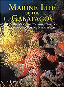 Marine life of the galapagos diversguide to the fish whales dolphins and marine invertebrates second edition. - Yogourt ricetta torta allo suor germana.