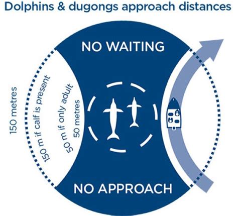 Marine mammal watching in NSW NSW Government