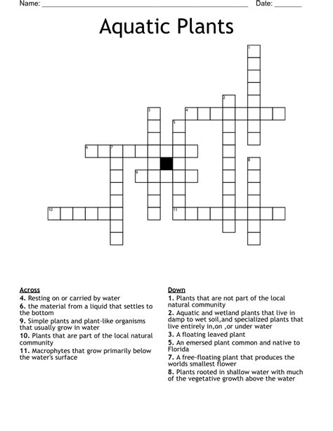 Crossword Answers: marine plant such as kelp. Relating to various kinds of photosynthesising organisms such as kelp and stonewort (5) Submerged marine plant: 2 wds. Maritime plant to spoil area of little water around mouth of Mersey (5,6) Certain marine plants no sailors found in the briny, on reflection (8). 