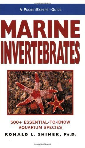Read Online Marine Invertebrates By Ronald L Shimek