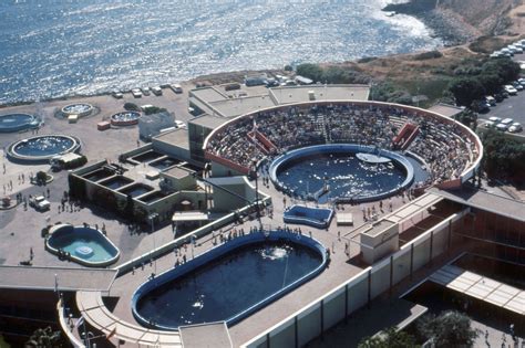 Marineland of the Pacific, Palos Verdes, California — Calisphere