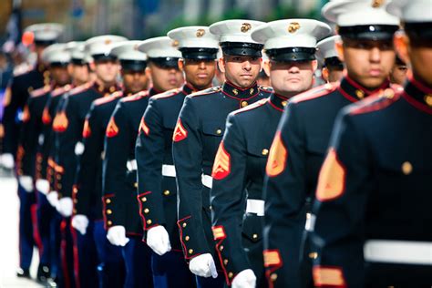 Marines Definition & Meaning Dictionary.com