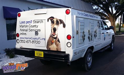 Marion county animal control. Things To Know About Marion county animal control. 