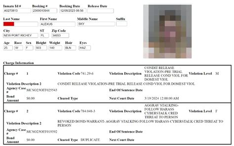 Marion county florida jail.  Inmate details include arrest date, arresting agen...