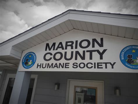 Marion humane society. Things To Know About Marion humane society. 