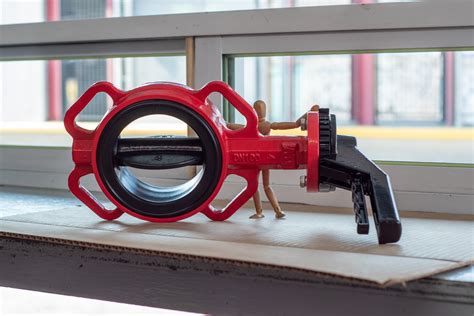 Mariposa_Mt Onlyfans Leak [CLIP] 💋