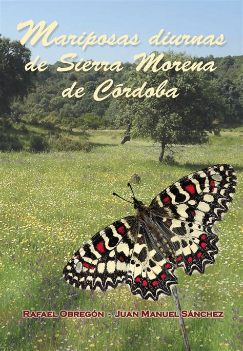 Mariposas diurnas de sierra morena de córdoba. - Screening adult neurologic populations a step by step instruction manual.