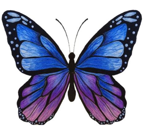 Maripossa Onlyfans Leaked +18 🍆