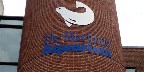 Maritime aquarium at norwalk photos. Easy access from I-95 or Metro-North Railroad, convenient covered parking next door, warm and spacious with two on-site cafes, a gift shop, and a 4D Theater, the Aquarium is a mos 