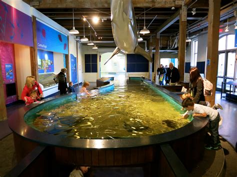 Maritime aquarium norwalk ct. Features. The Maritime Aquarium inspires people of all ages to appreciate Long Island Sound and protect it for future generations. A vibrant and entertaining learning … 