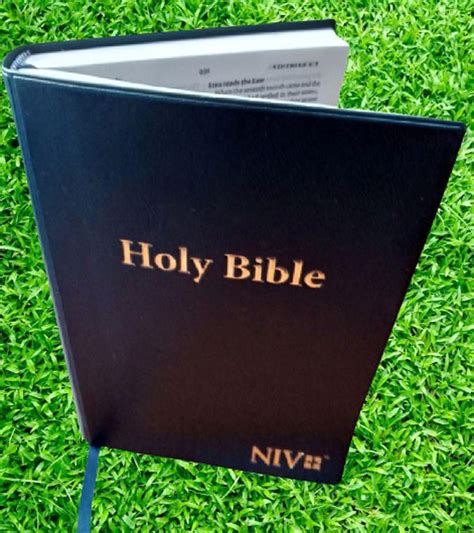 Mark 8 – New International Version NIV Biblica