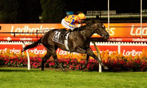 474px x 284px - Mark Walkers Te Akau Racing Aims for Glory with Imperatriz in Black Caviar  Lightning