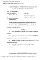 Mark bellissimo divorce