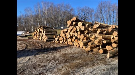 A small sawmill operation that shows how to run and maintain a circular sawmill. We saw small custom orders from pine and hardwood logs that we get from a la...
