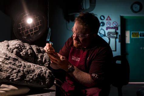 Mark mitchell fossil