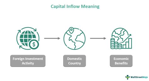 Market Sentiment and Capital Inflows
